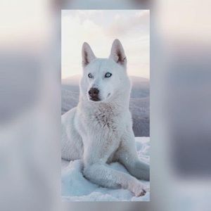 Meet your Posher, Matias